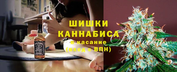 молекула духа Вяземский