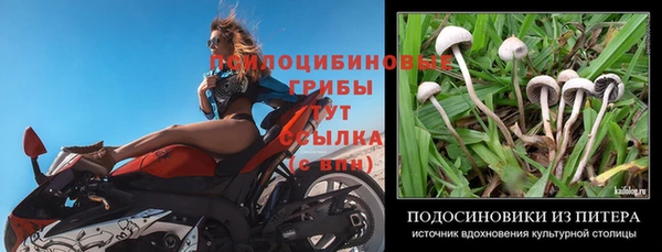 героин Алзамай