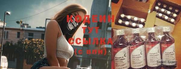 дмт Ладушкин