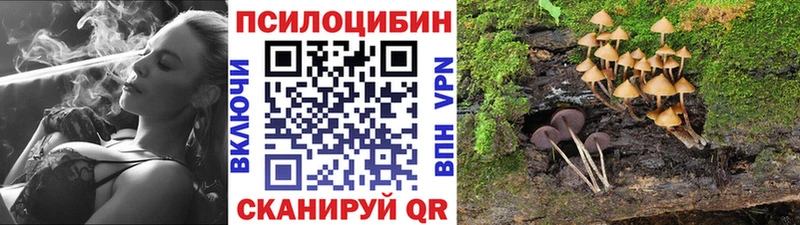 сколько стоит  Данилов  Галлюциногенные грибы мухоморы 