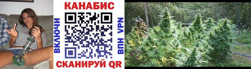 Каннабис OG Kush  Данилов 